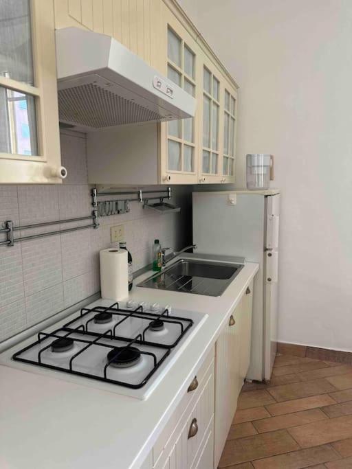 Xenia Apartments - Charming Garden Suite In Porta Venezia Milano Eksteriør billede